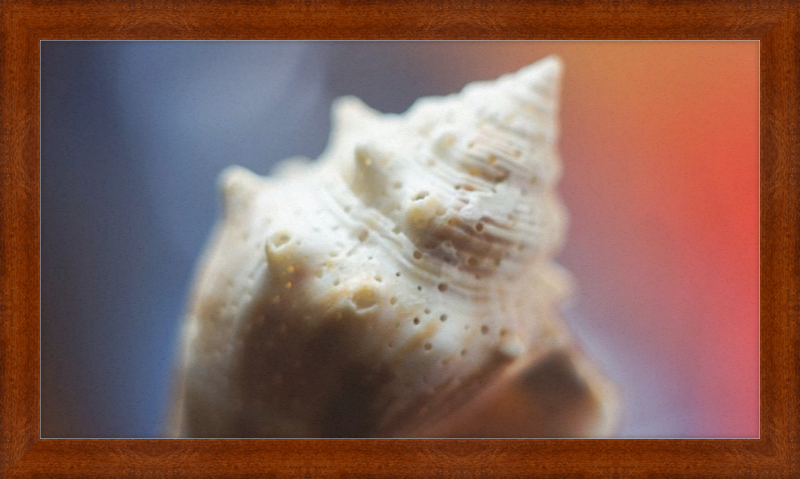 Shell CA2633