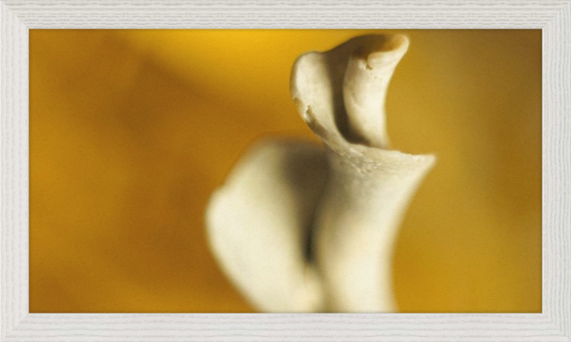 Shell CA2818