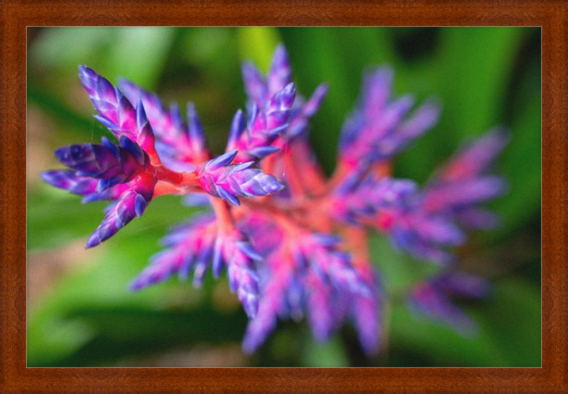 South Florida beauty 2