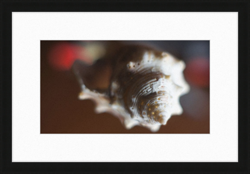 Shell CA2663