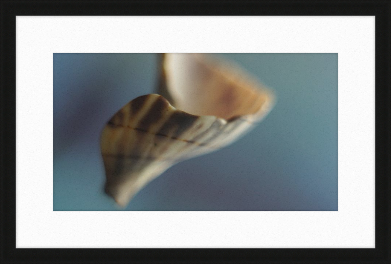 Shell CA2717