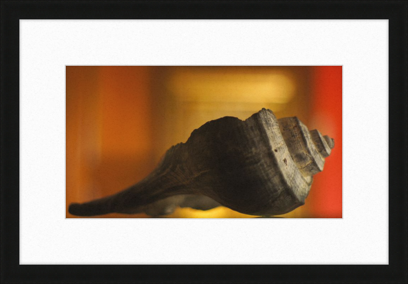 Shell CA2963