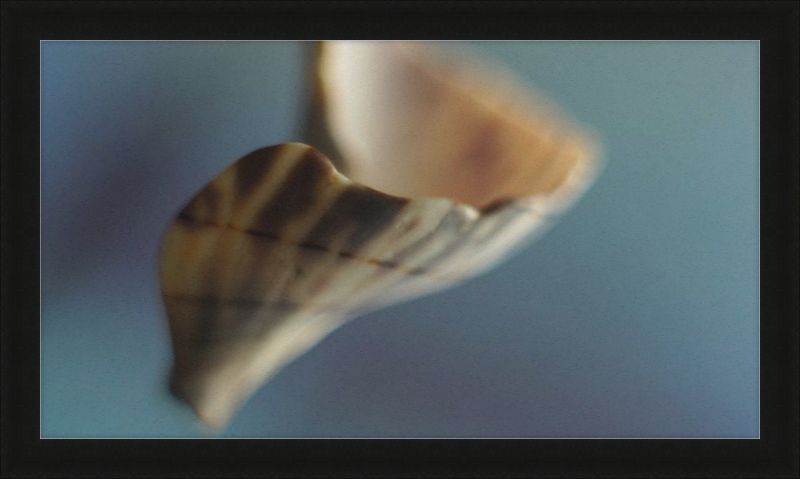 Shell CA2717