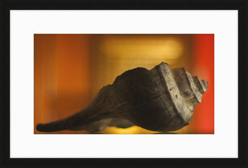 Shell CA2963