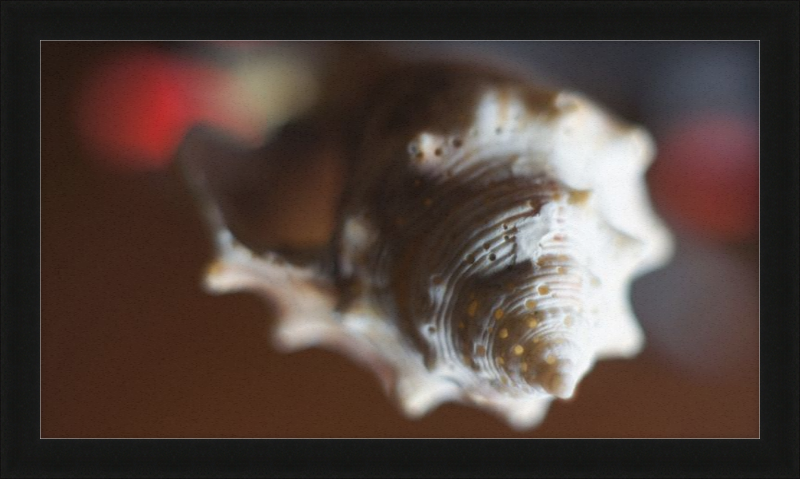 Shell CA2663