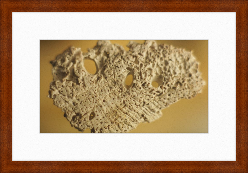Shell CA2939