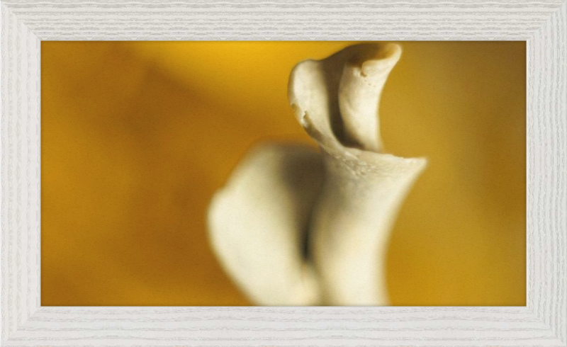 Shell CA2818