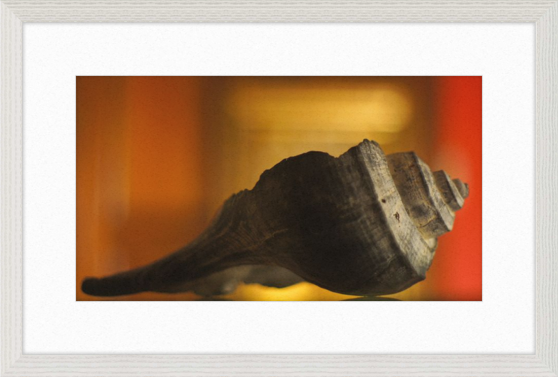 Shell CA2963