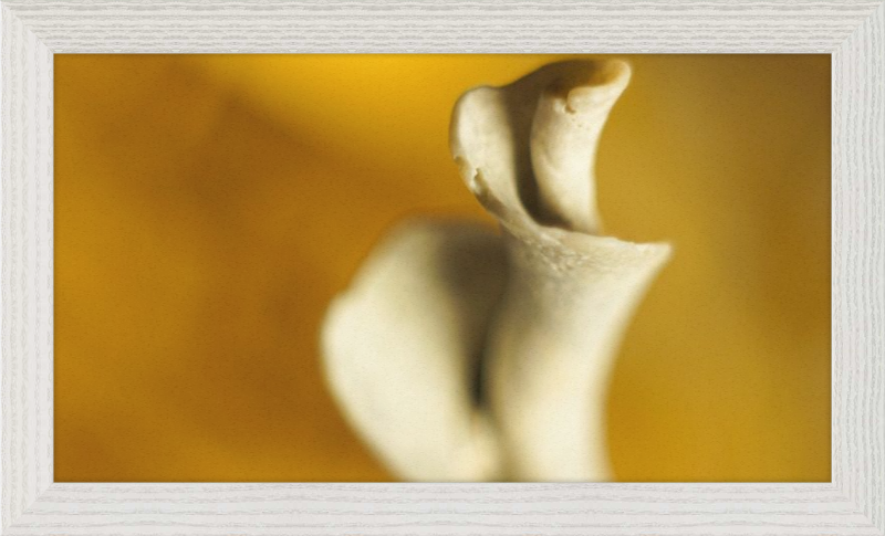 Shell CA2818