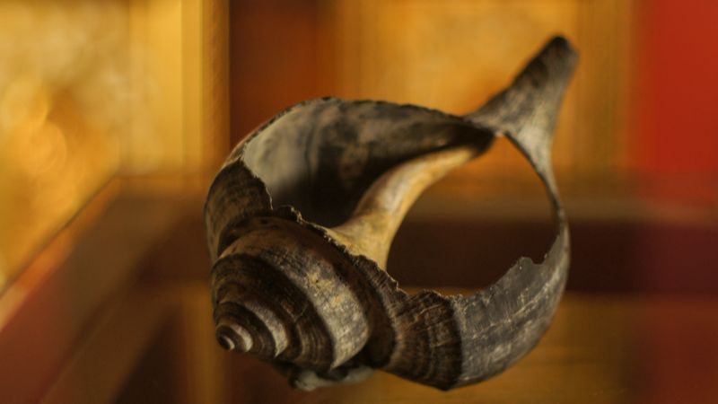 Shell CA2967