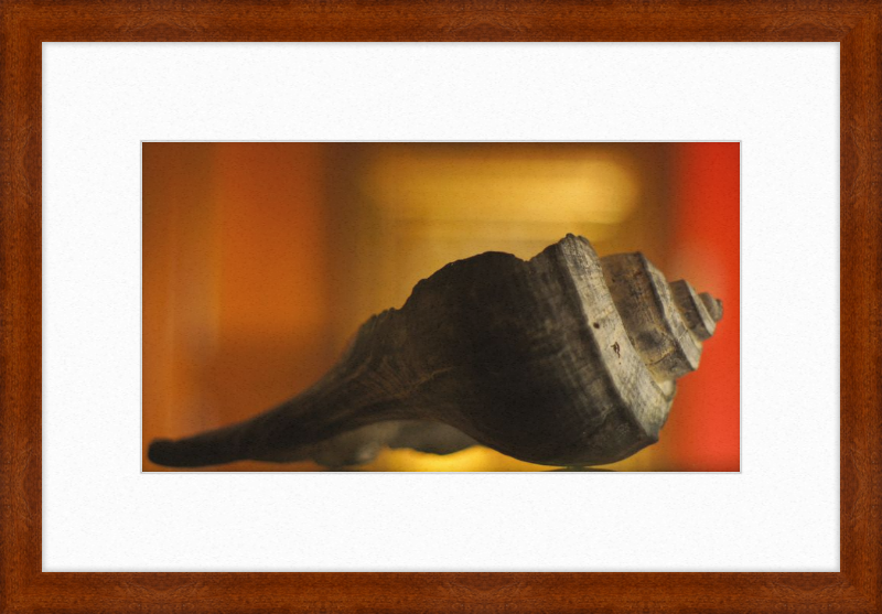 Shell CA2963