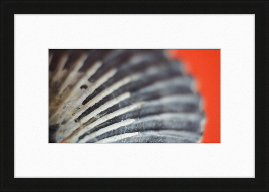 Shell CA2603