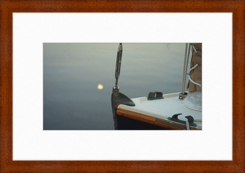 Forestay with setting moon reflection