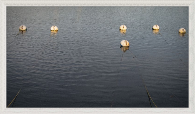 Early Morning Moorings