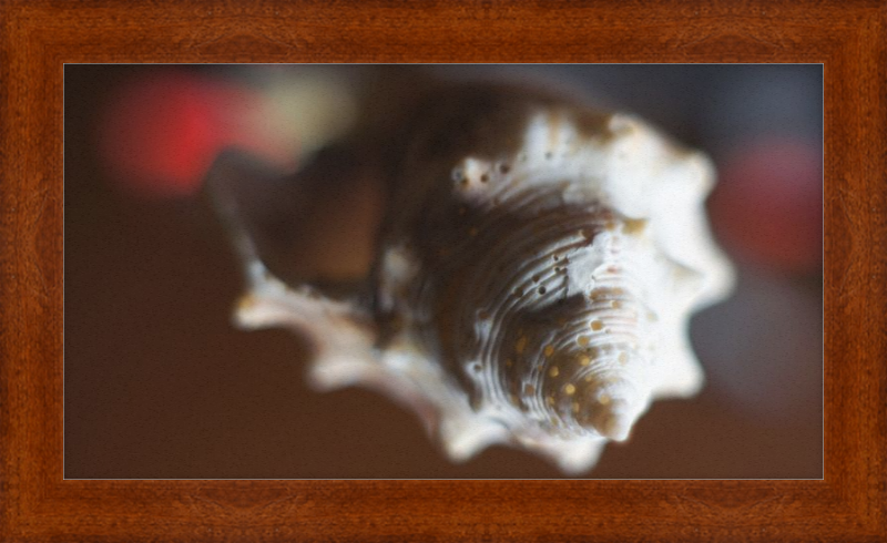 Shell CA2663