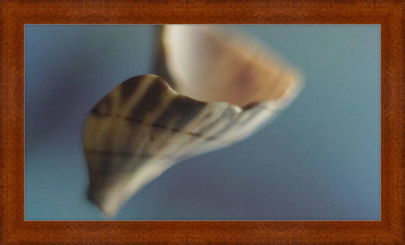 Shell CA2717
