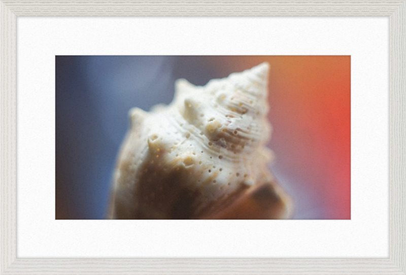 Shell CA2633