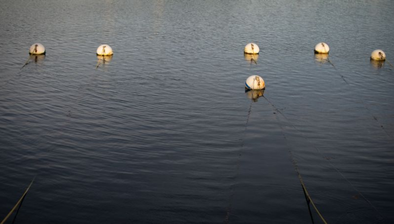 Early Morning Moorings