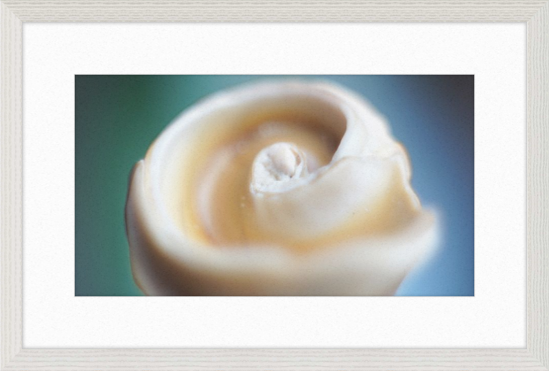 Shell CA2679