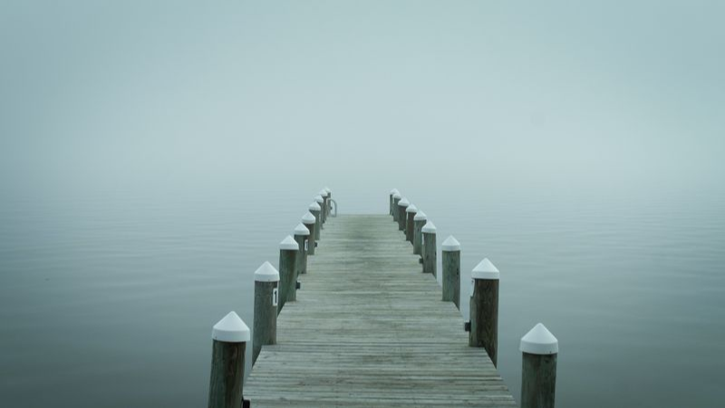 Unpredictable Morning