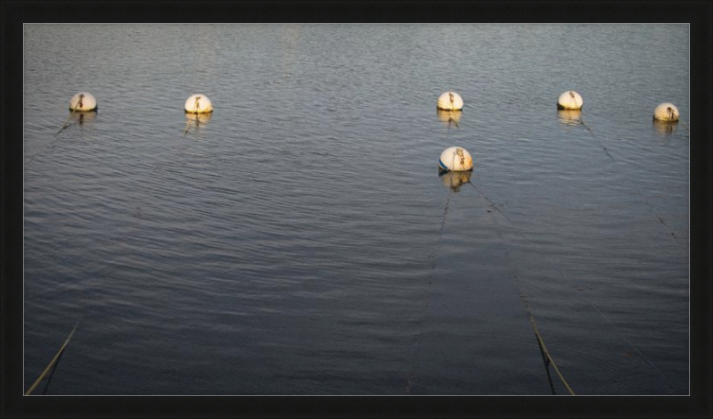 Early Morning Moorings