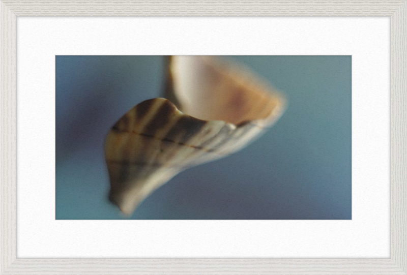 Shell CA2717