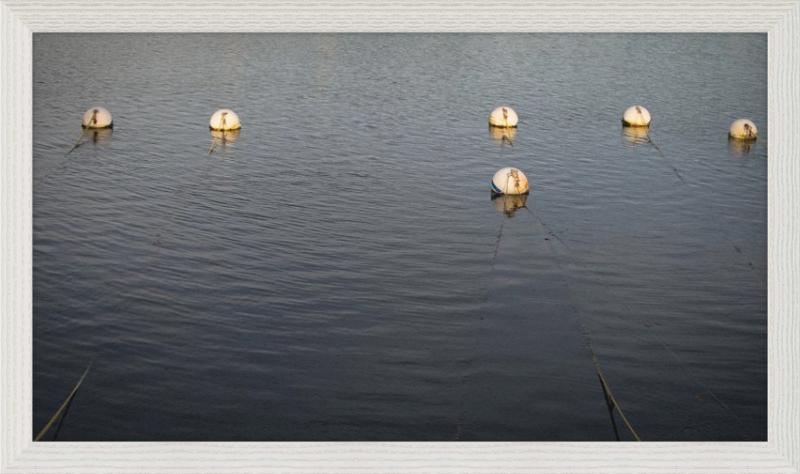 Early Morning Moorings