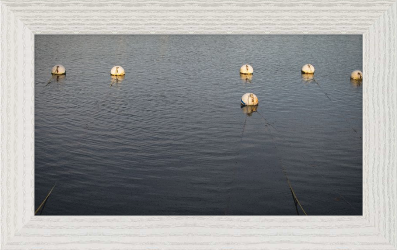 Early Morning Moorings