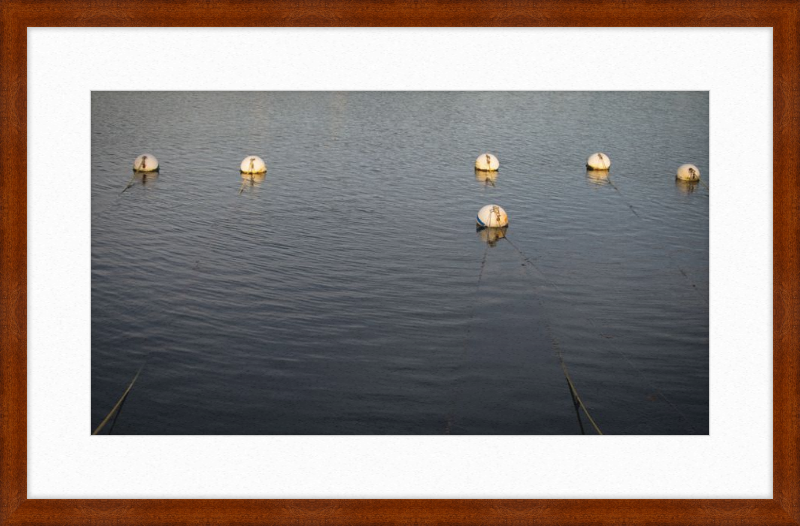 Early Morning Moorings