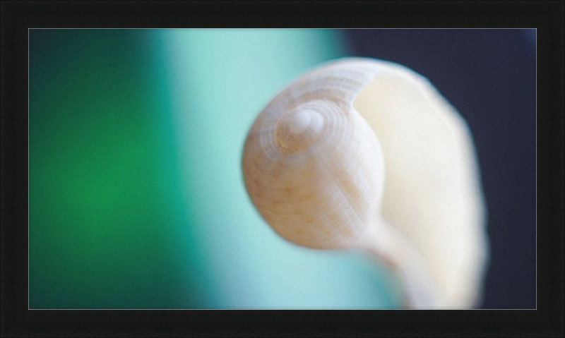 Shell CA2695