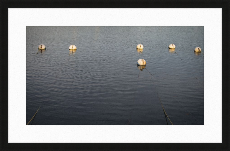Early Morning Moorings