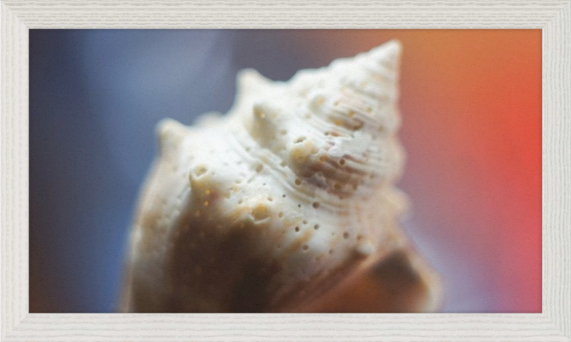 Shell CA2633