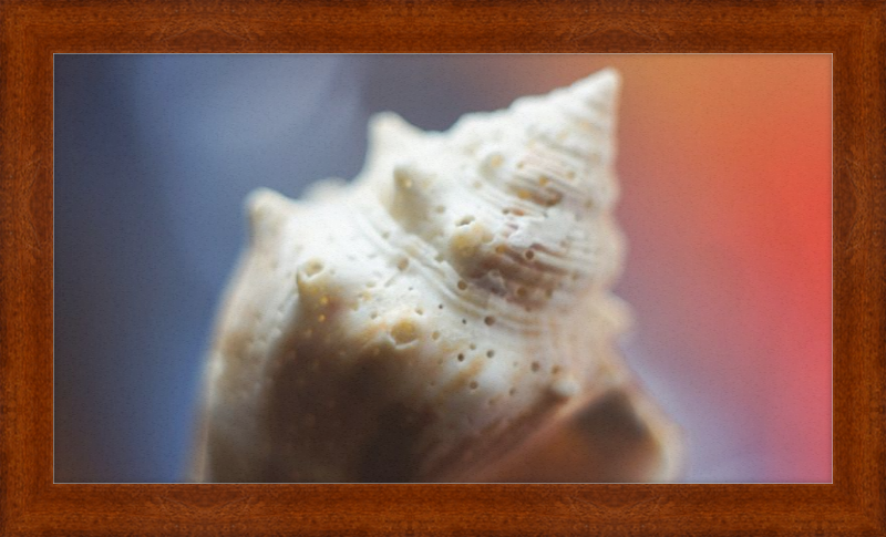 Shell CA2633