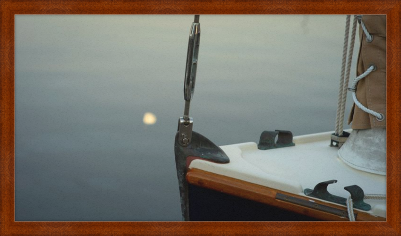 Forestay with setting moon reflection