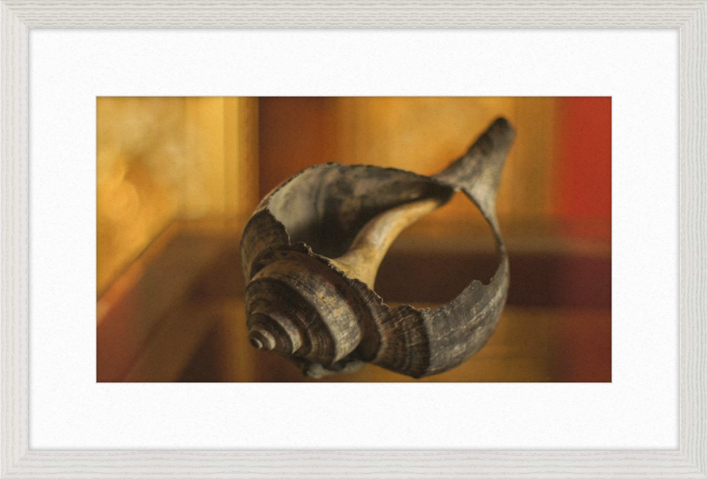 Shell CA2967
