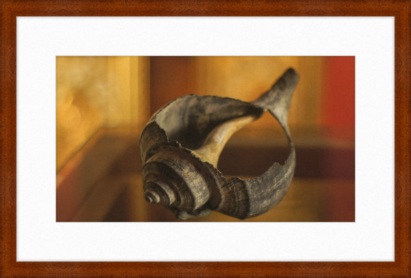 Shell CA2967