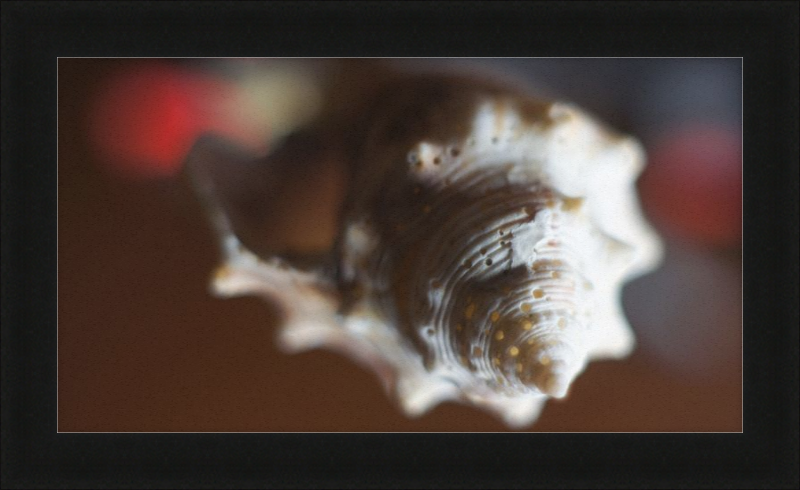 Shell CA2663