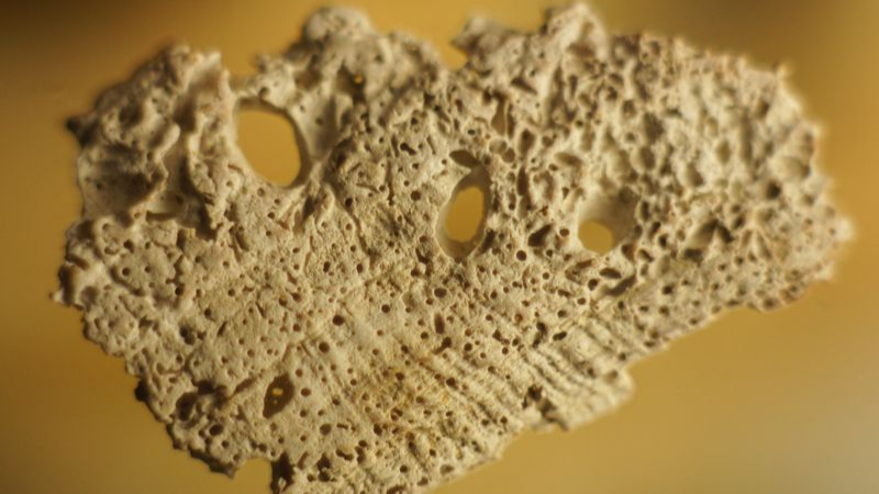 Shell CA2939