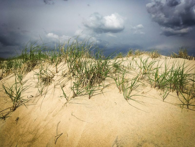 Storm Dune