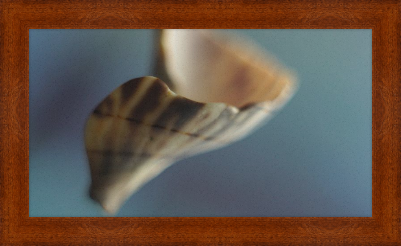 Shell CA2717