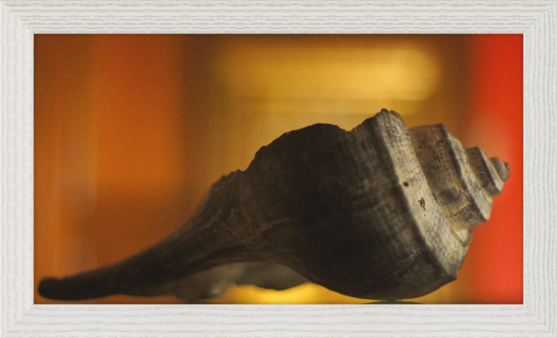 Shell CA2963