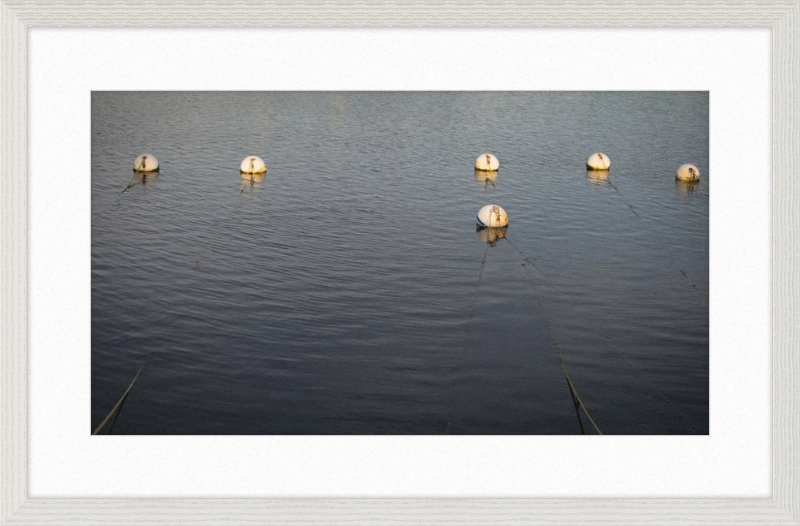 Early Morning Moorings