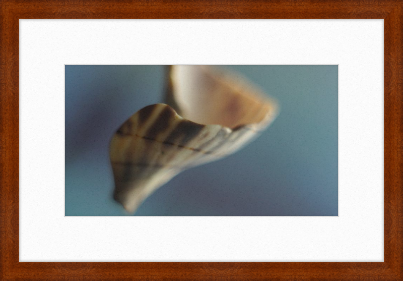 Shell CA2717