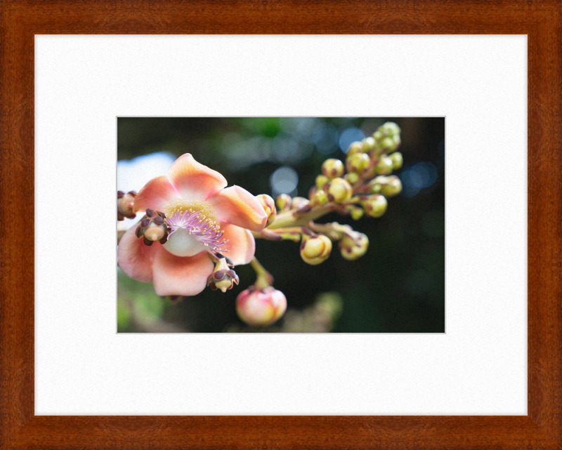 South Florida Beauty