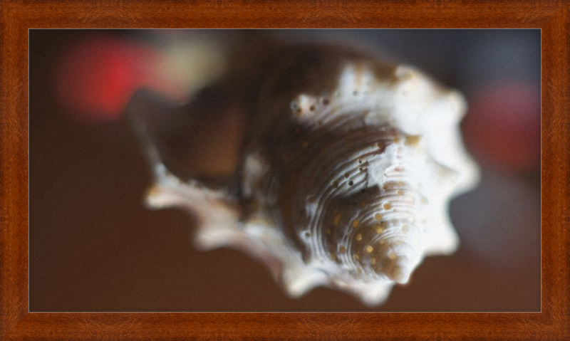 Shell CA2663