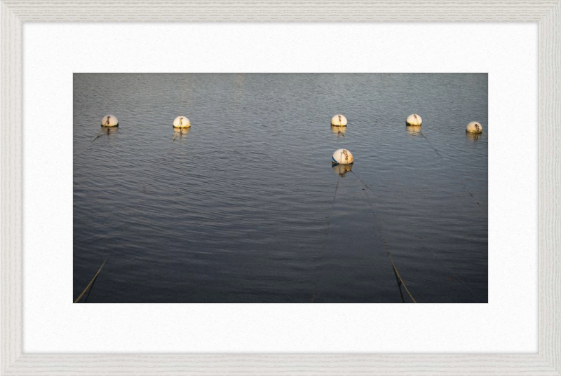 Early Morning Moorings