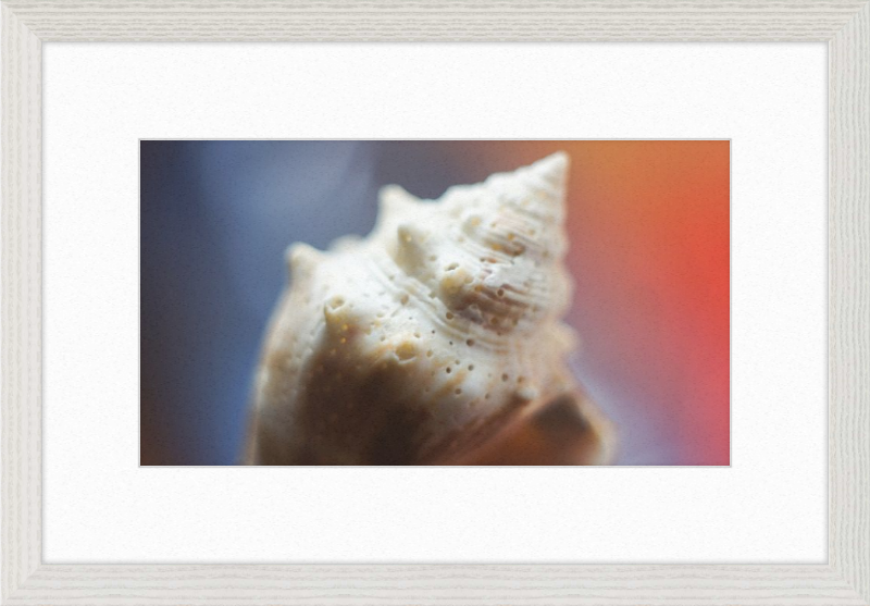 Shell CA2633