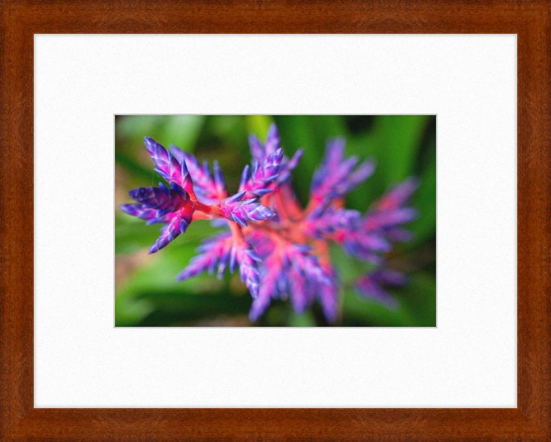 South Florida Beauty 2