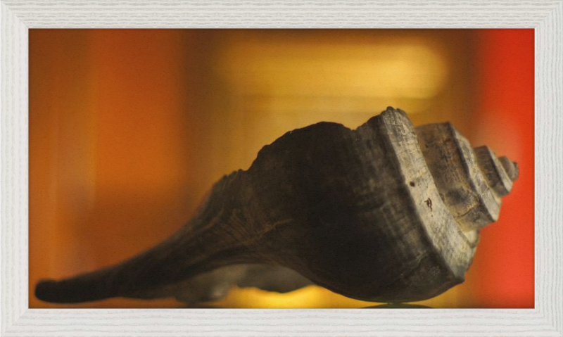 Shell CA2963