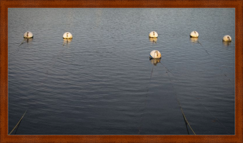 Early Morning Moorings
